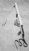 mastraiser2.jpg (99298 bytes)